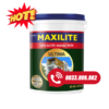 Maxilite Ultima – Bề Mặt Bóng